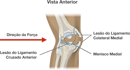 Dr. Marcelo Tostes 