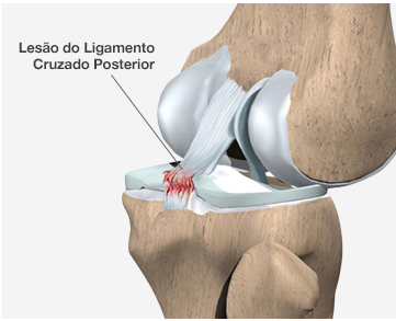 Dr. Marcelo Tostes 