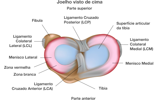 Dr. Marcelo Tostes 