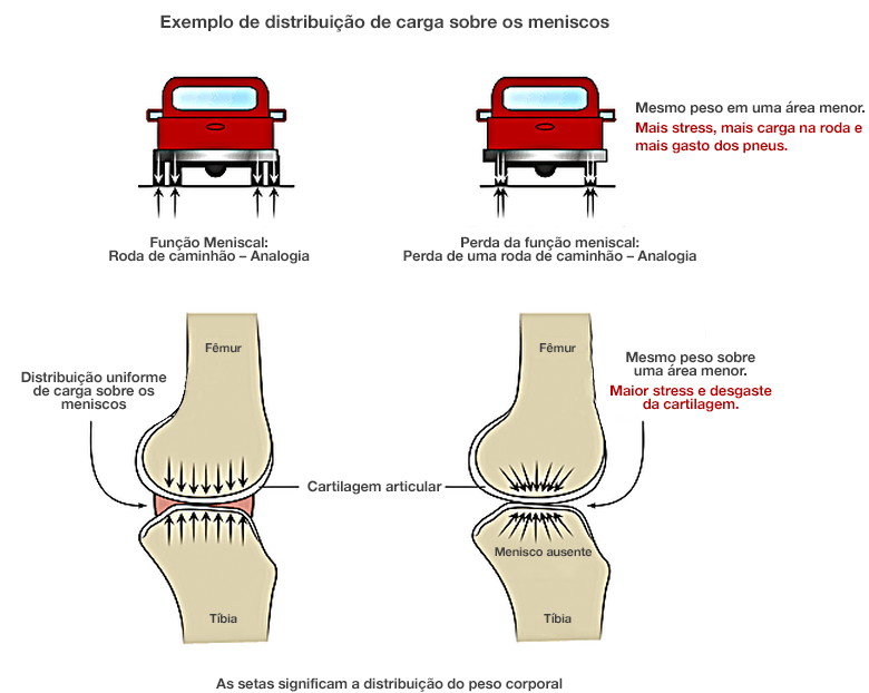 Dr. Marcelo Tostes 