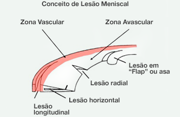 Dr. Marcelo Tostes 