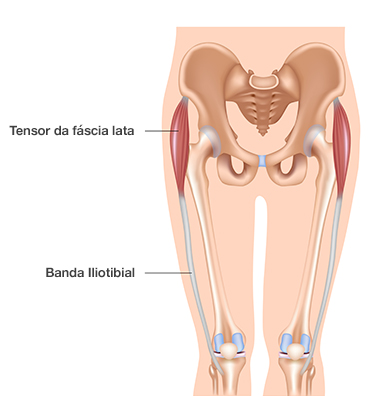 Dr. Marcelo Tostes 