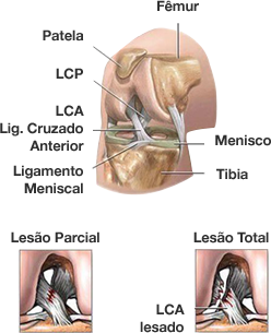 Dr. Marcelo Tostes 