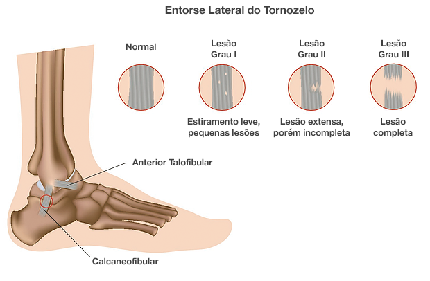 Dr. Marcelo Tostes 